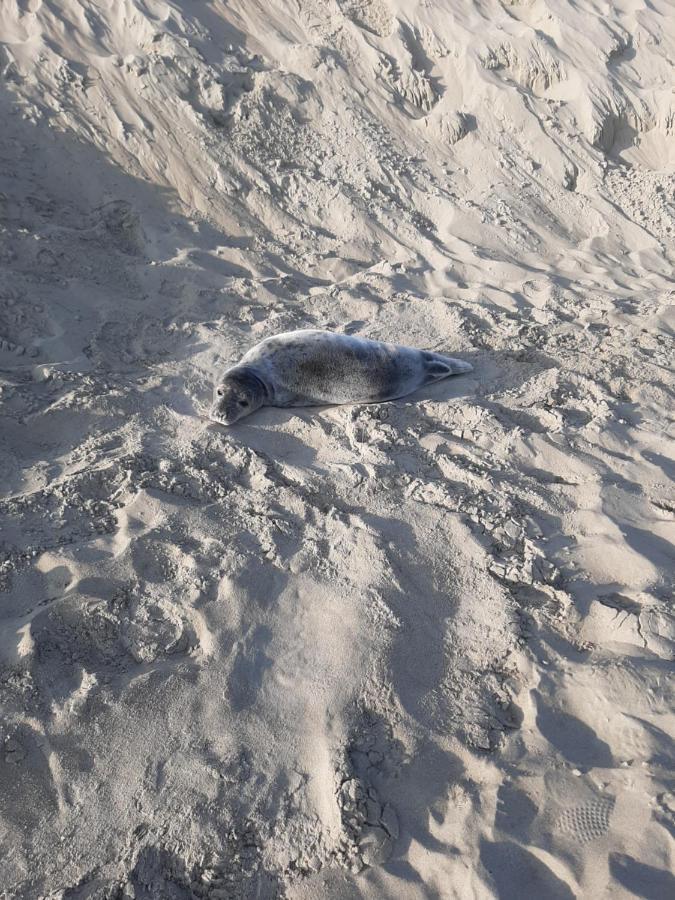 Blekkerke Villa Koksijde Bagian luar foto