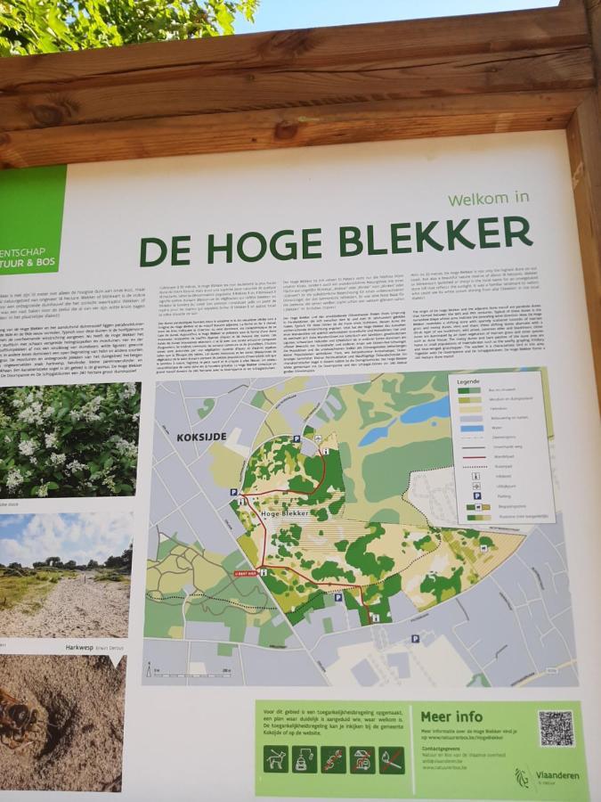 Blekkerke Villa Koksijde Bagian luar foto